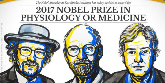 2017 Nobel Tıp Ödülü