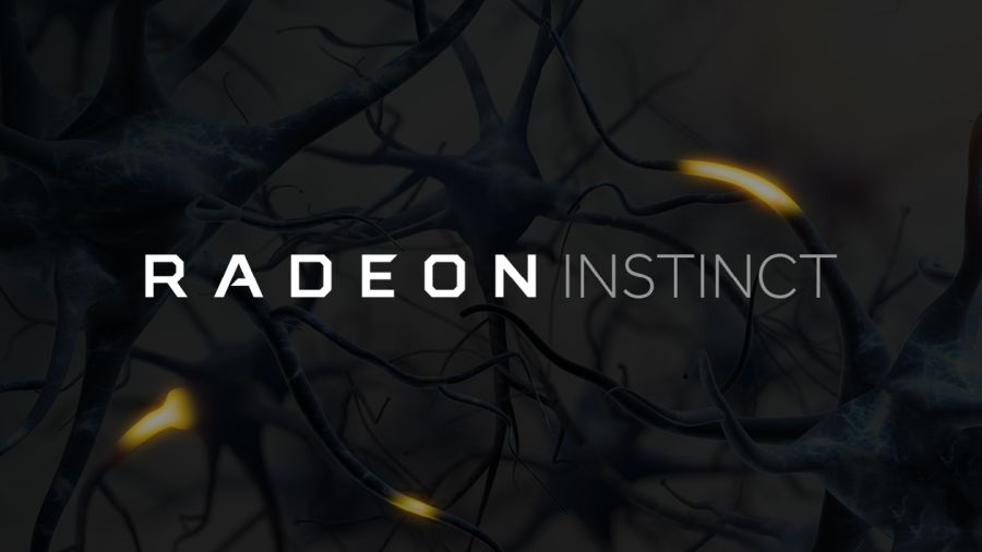 AMD Radeon Instinct Vega