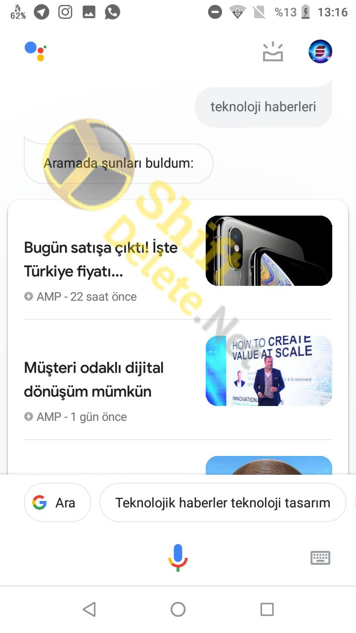 Türkçe Google Asistan