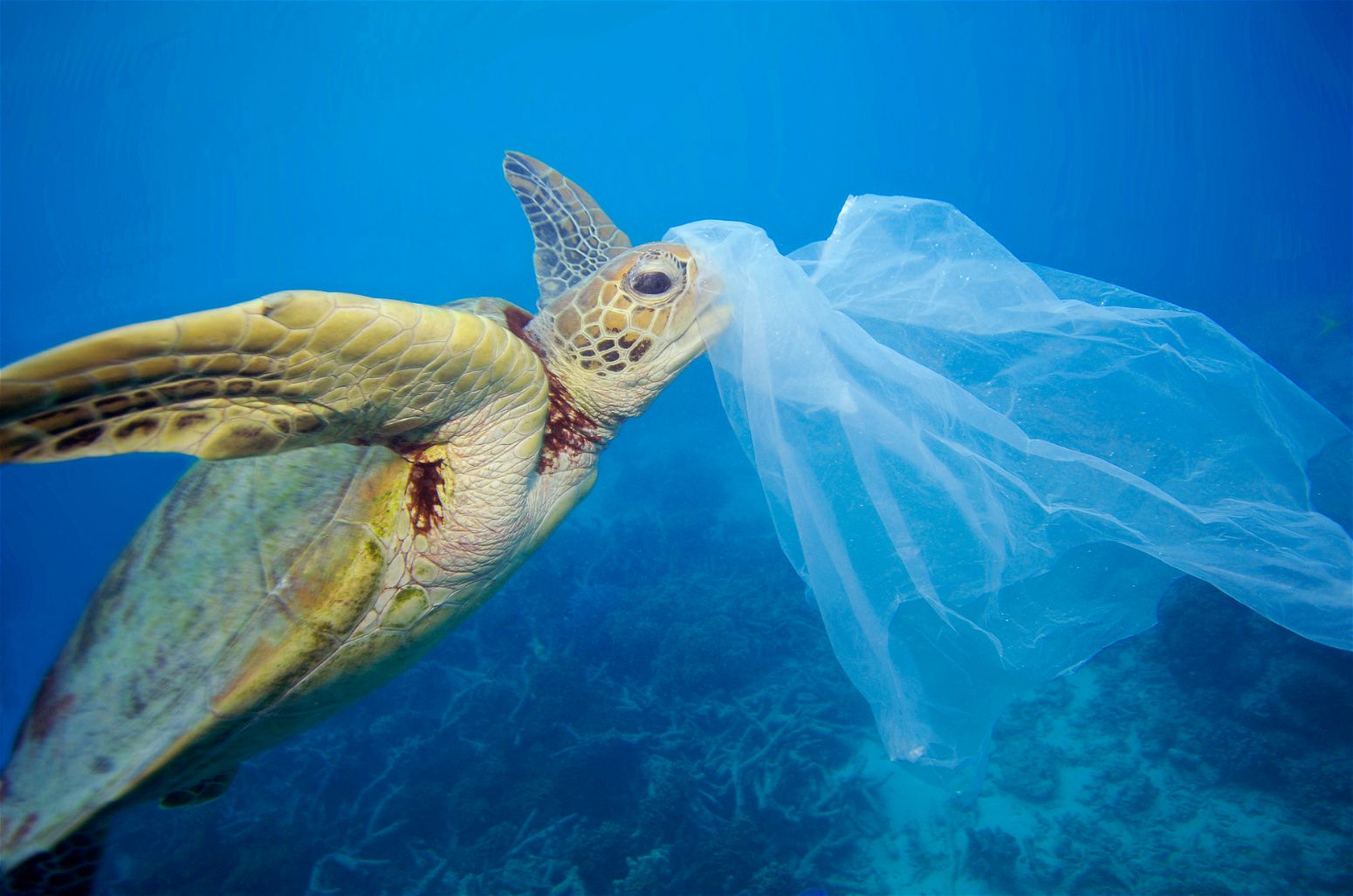 Plastik atıkların geri dönüşümü