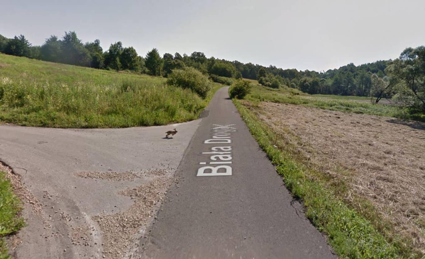 Google Street View aracı tavşana çarptı! - ShiftDelete.Net (1)