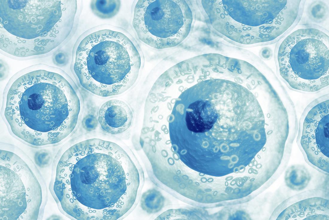 Hücrelere zarar vermeyen 3D mikroskop tanıtıldı! - ShiftDelete.Net