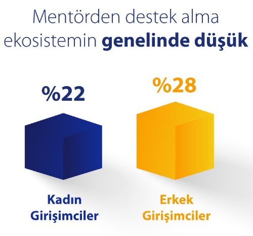 Kadın Teknoloji Girişimcileri Araştırması