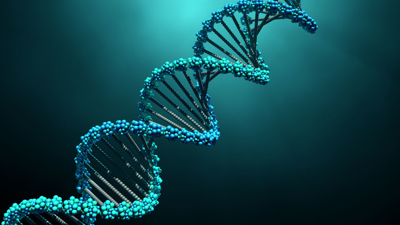 DNA robotları ve nano cihazlar 