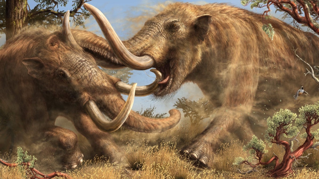 Kaliforniya'da mastodon fosili bulundu. 