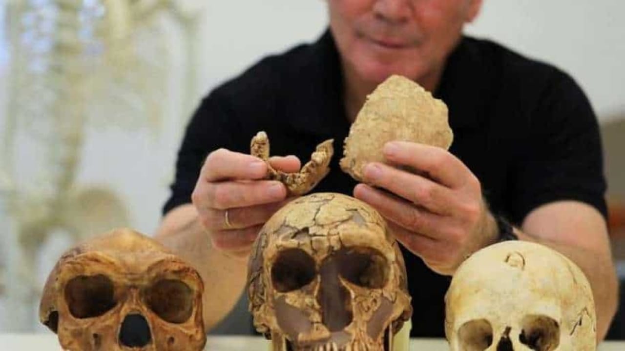 İsrailde yeni antik insan türü keşfedildi