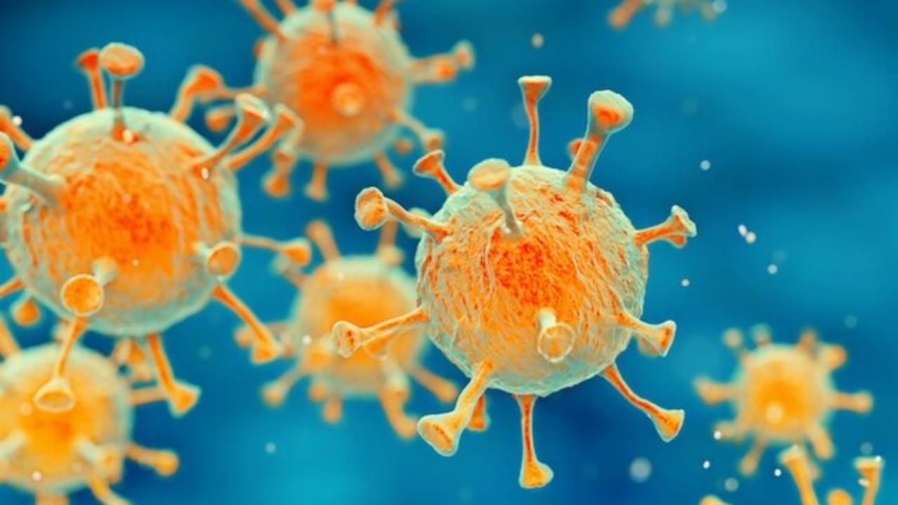 Antivirüs etkili proteinler