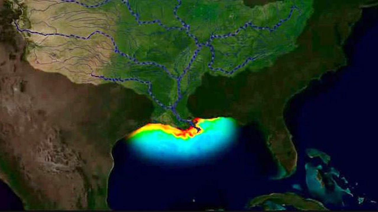 Meksika Körfezi'nde ölü bölge keşfedildi