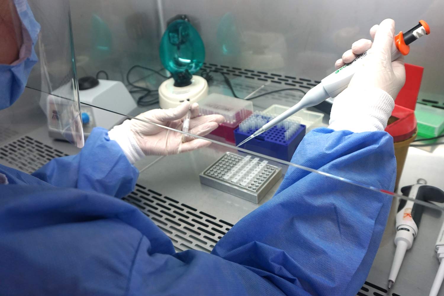 İçişleri Bakanlığı, PCR testi zorunluluğu için genelge yayımladı
