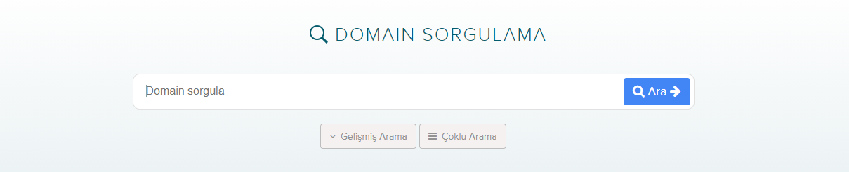 domain sorgulama