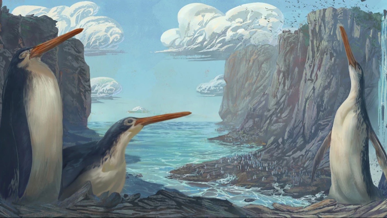 Tarih öncesi dev penguen 