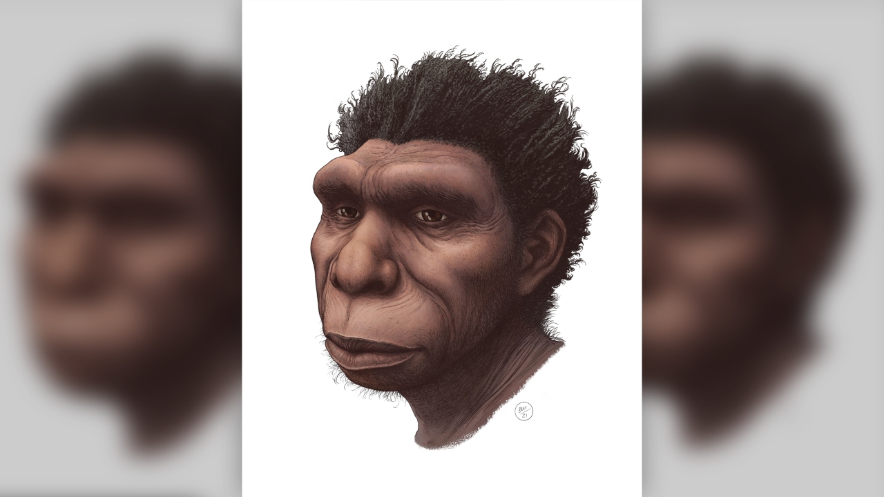 Homo bodoensis yeni insan türü 