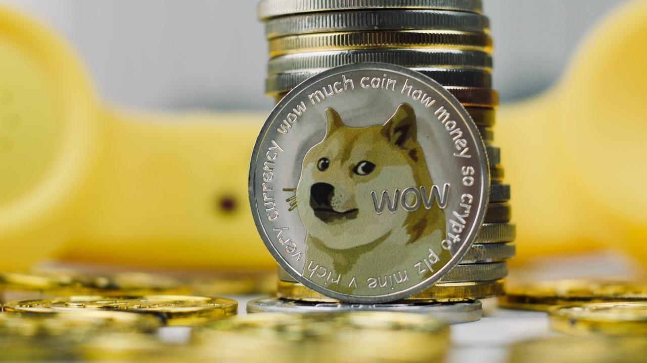 Shiba coin nedir