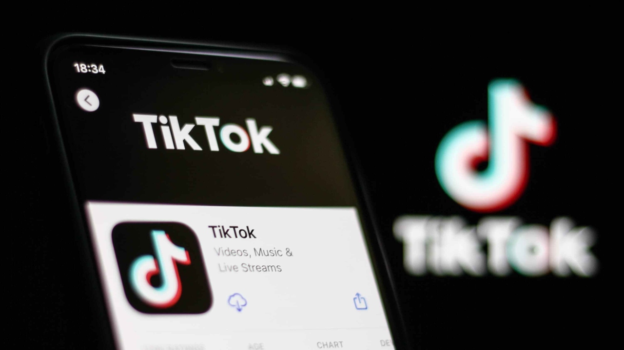Sosyal medya platformu TikTok