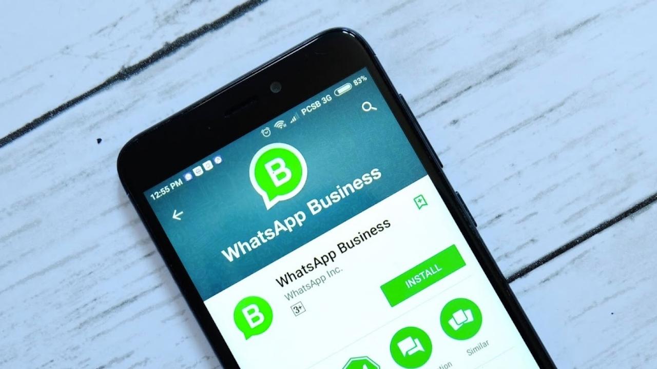 New feature to WhatsApp Business for iOS