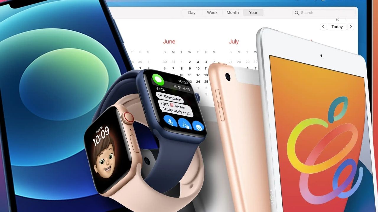 apple-zammi-7.jpg