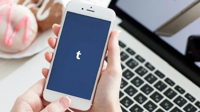 Tumblr brings tip feature for bloggers!