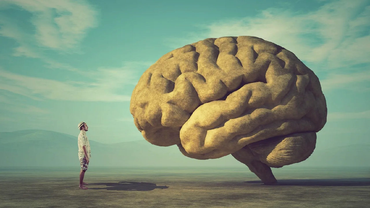 Bilim insanları açıkladı: Anılar beyinde nasıl oluşur?