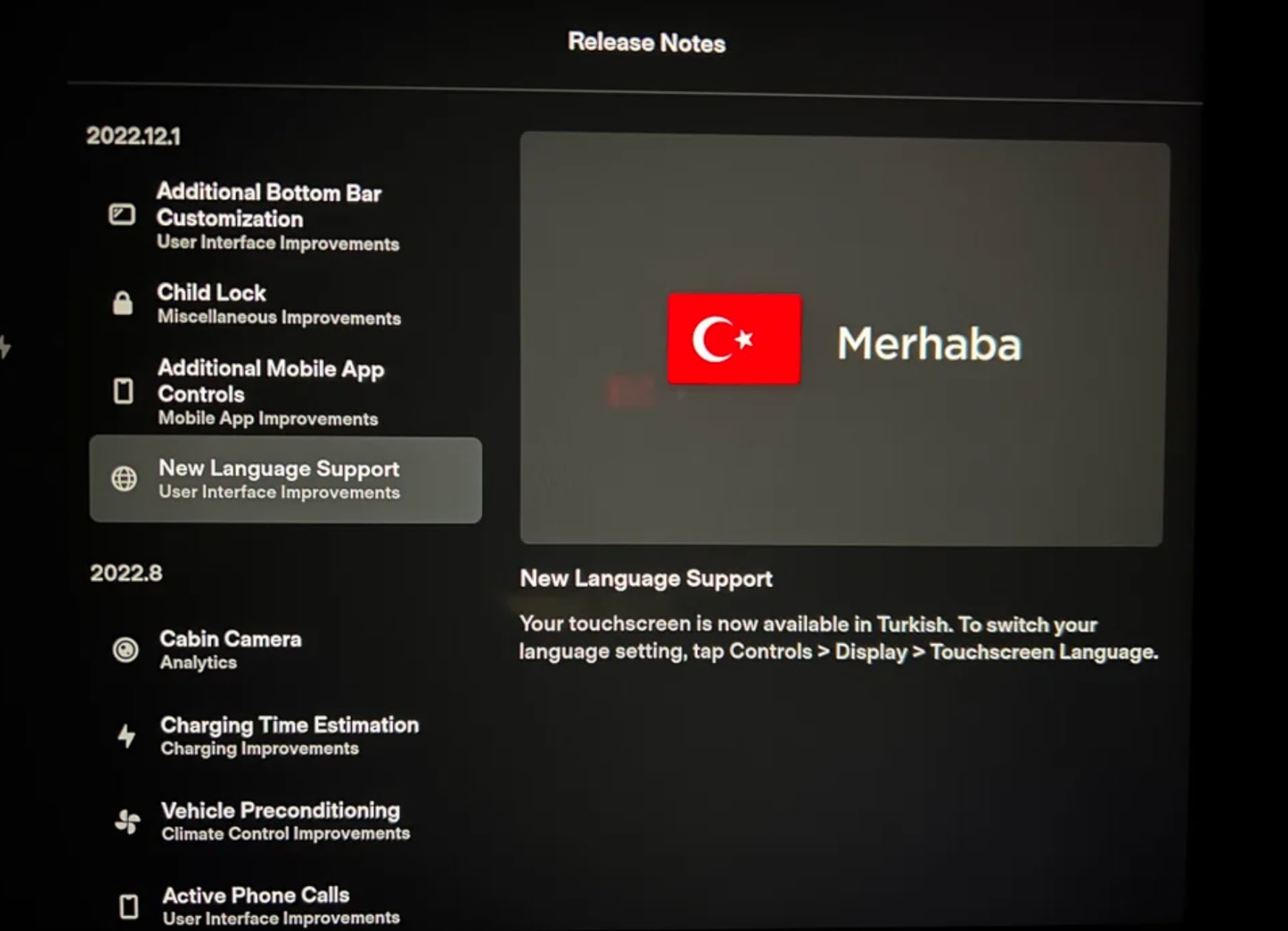 Tesla Türkçe dil desteğini sundu: İşte yeni özellikler