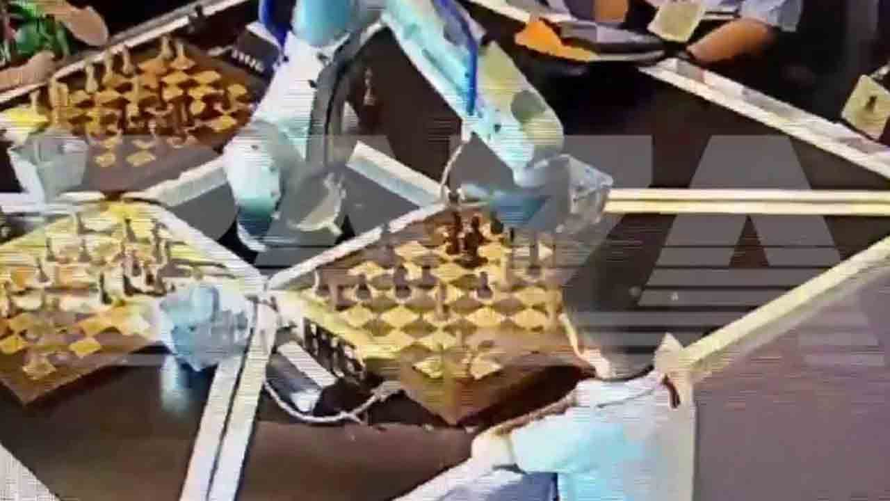 satranç robot
