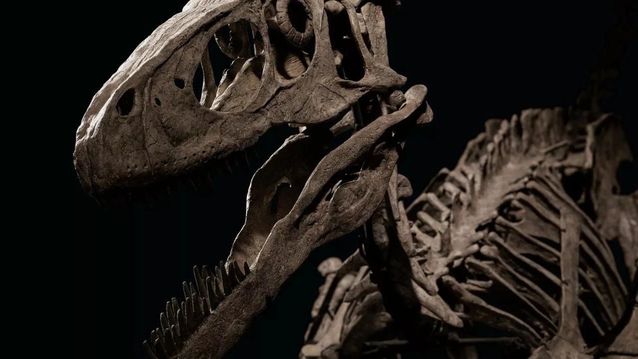 113 milyon yıllık dinozor ayak izleri ortaya çıktı!