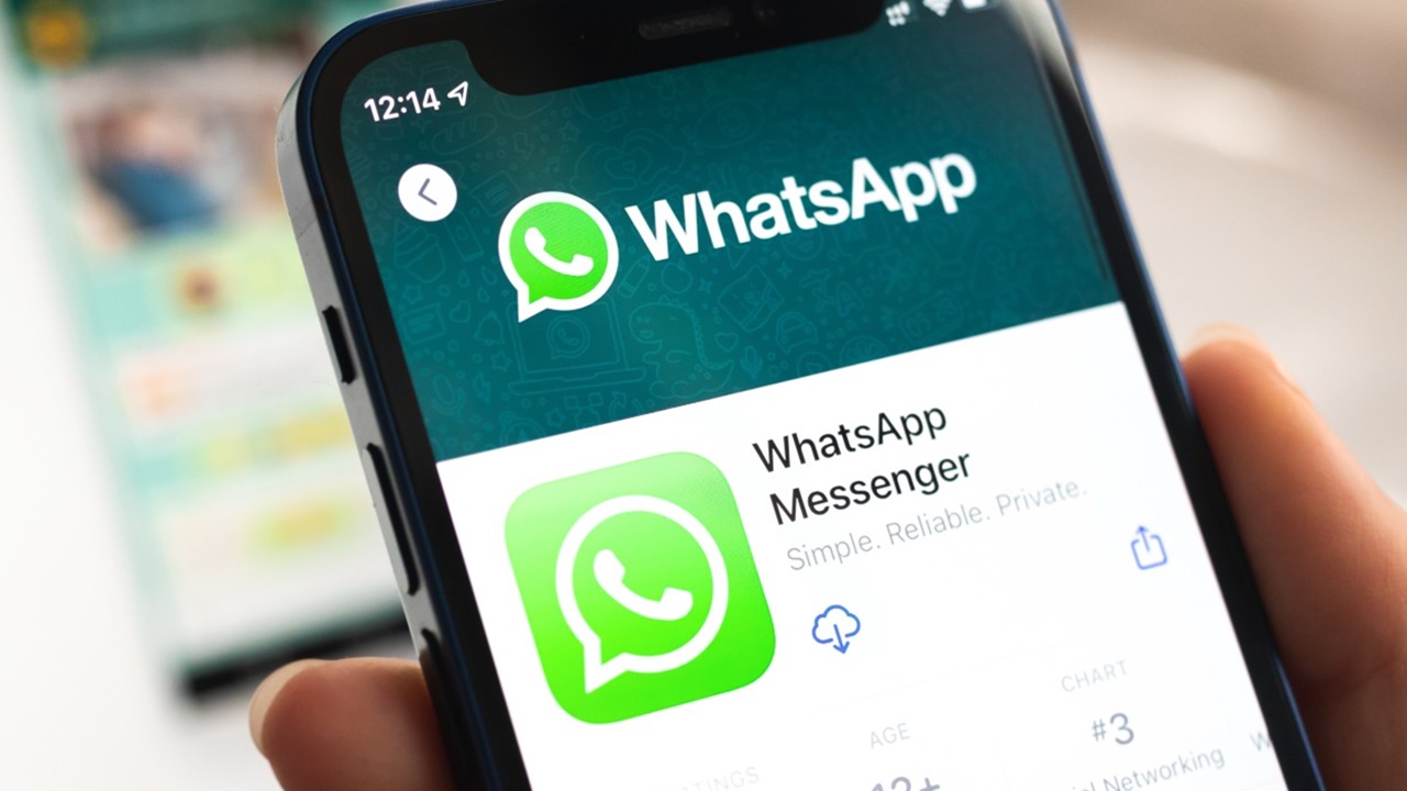 WhatsApp tikleri: Tek, çift ve mavi tik ne anlama geliyor?