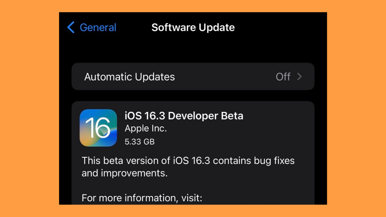 iOS 16.3 güncellemesi